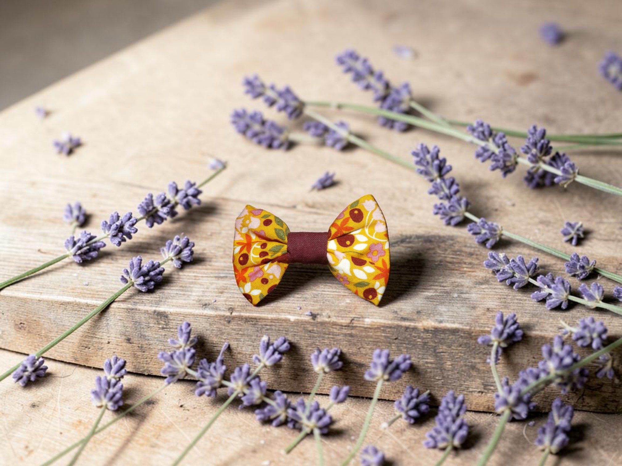Barrette crocodile
