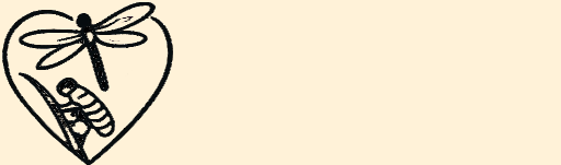 4 week Coaching Package for Women Who Are Not Done Yet