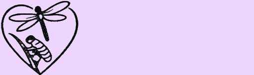 4 week Coaching Package for Women Who Are Not Done Yet