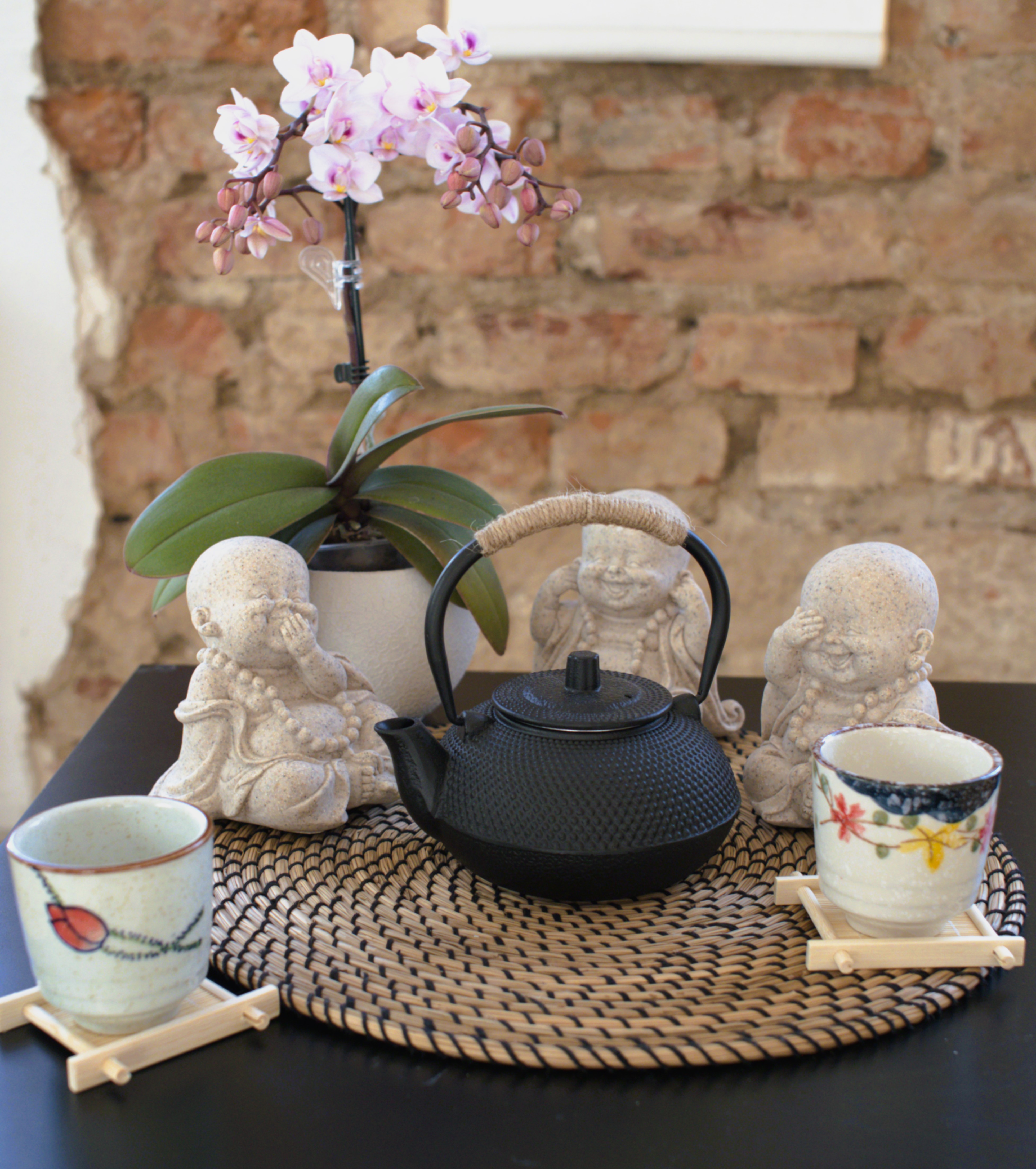 "Shizuka" ir "Kuro" Japoniški špižiniai arbatinukai