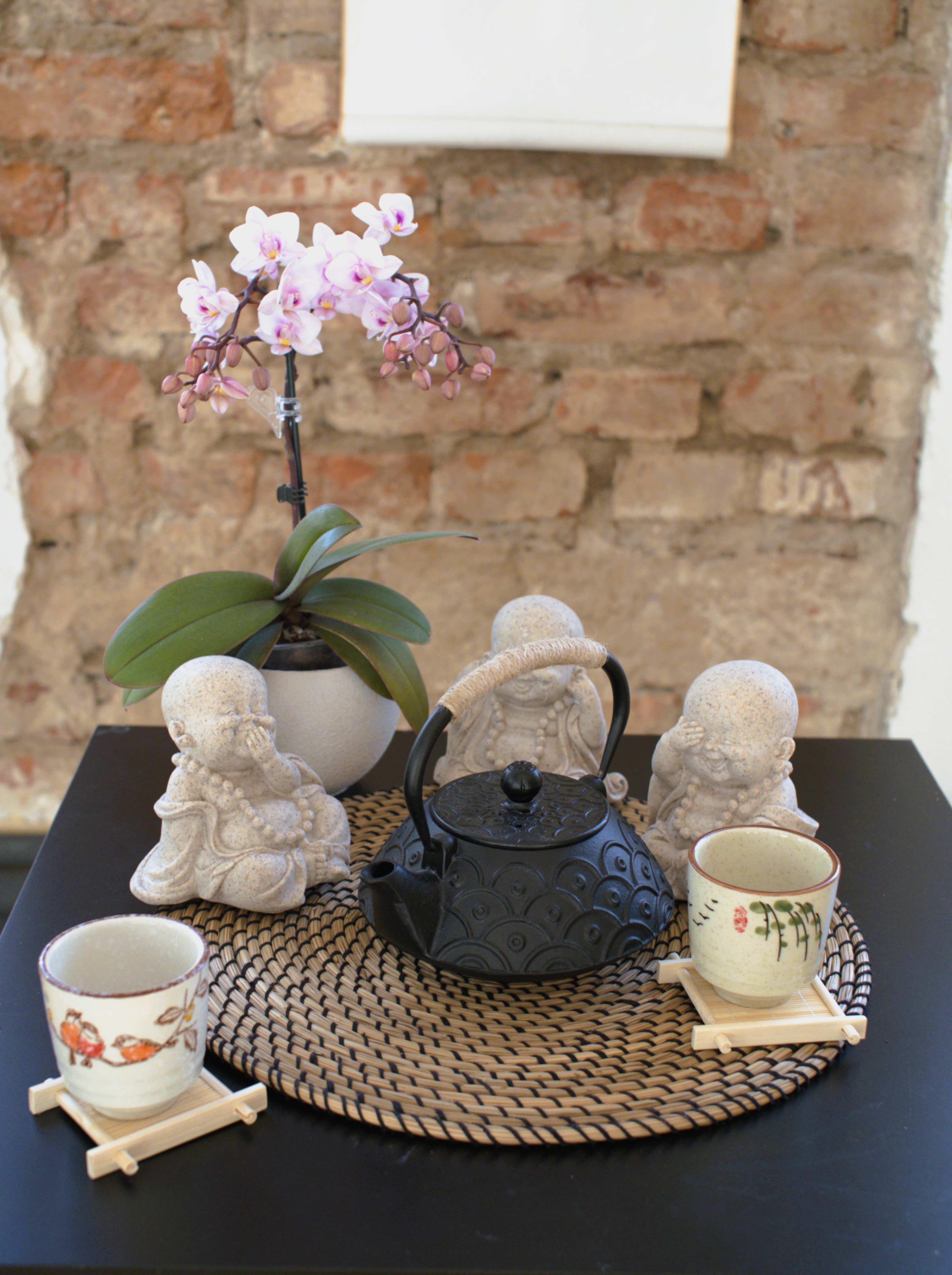 "Shizuka" ir "Kuro" Japoniški špižiniai arbatinukai