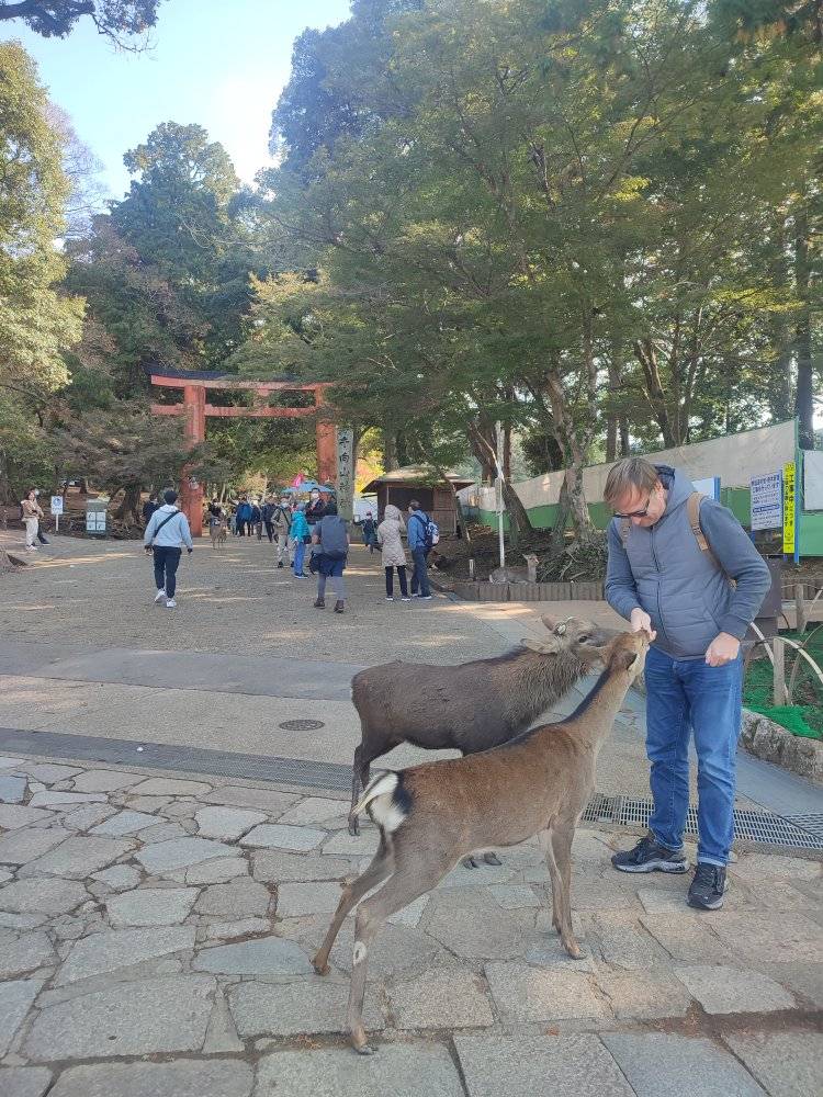 PAVASARIO kelionė po Japoniją