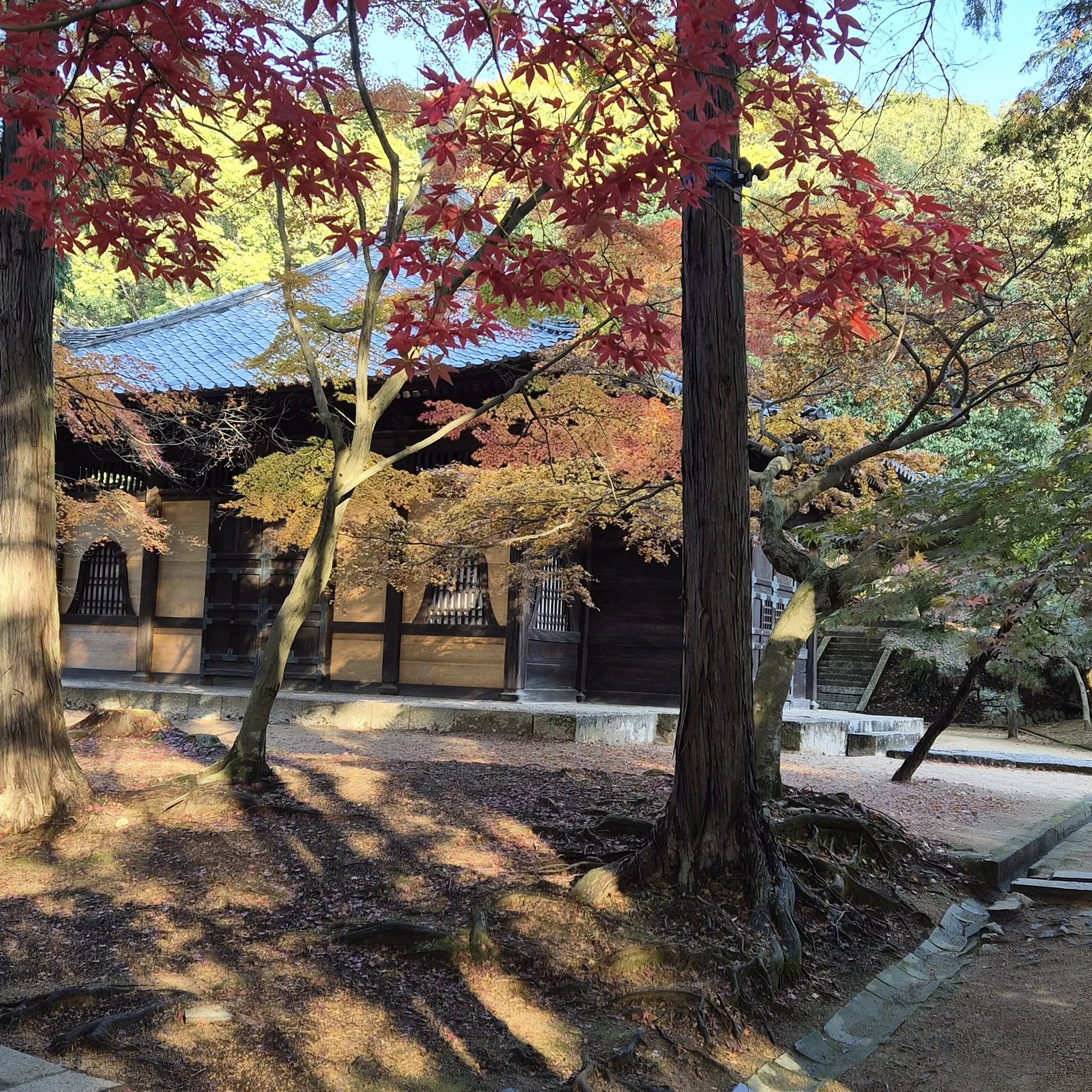 RUDENS kelionė po Japoniją