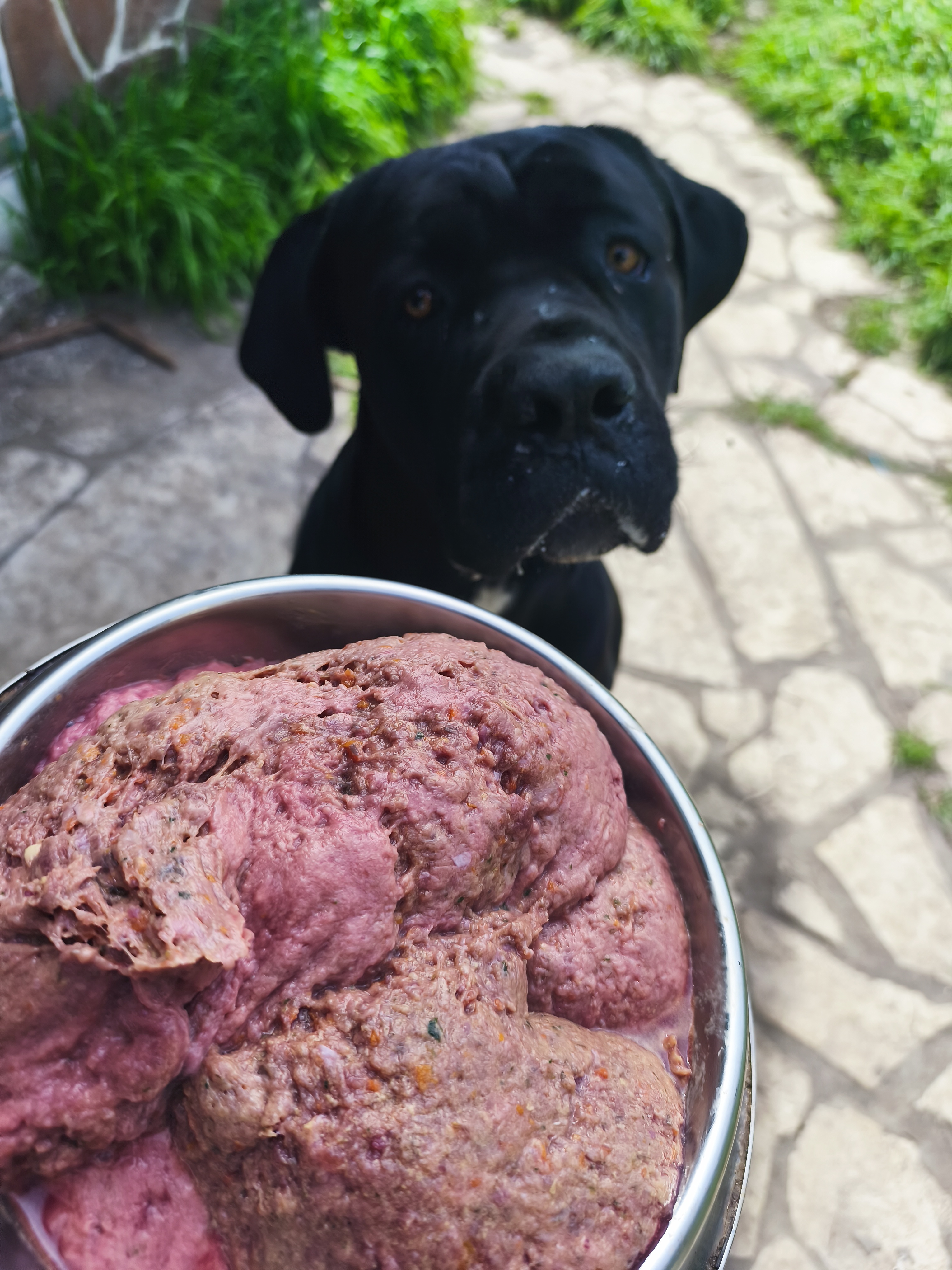 Alimento barf de res 20 kg (5000 el Kg) 