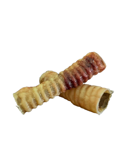 Traquea Deshidratada