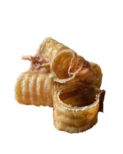 Tráquea Trozada Deshidratada