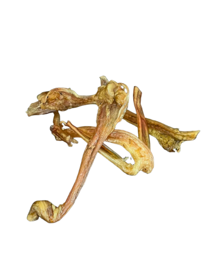 Tendones Deshidratados