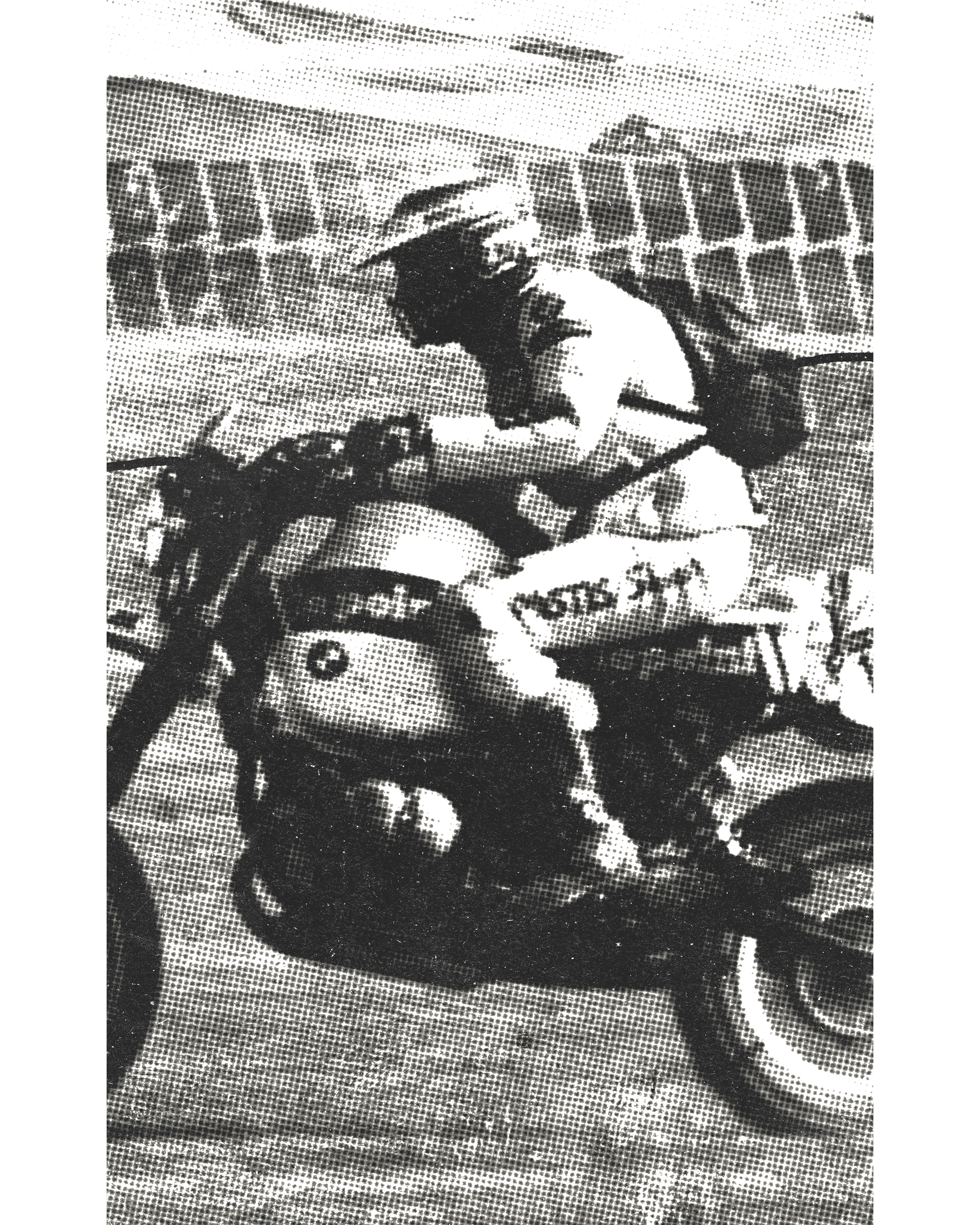 SRCCO Paris-Dakar 1981 Champion