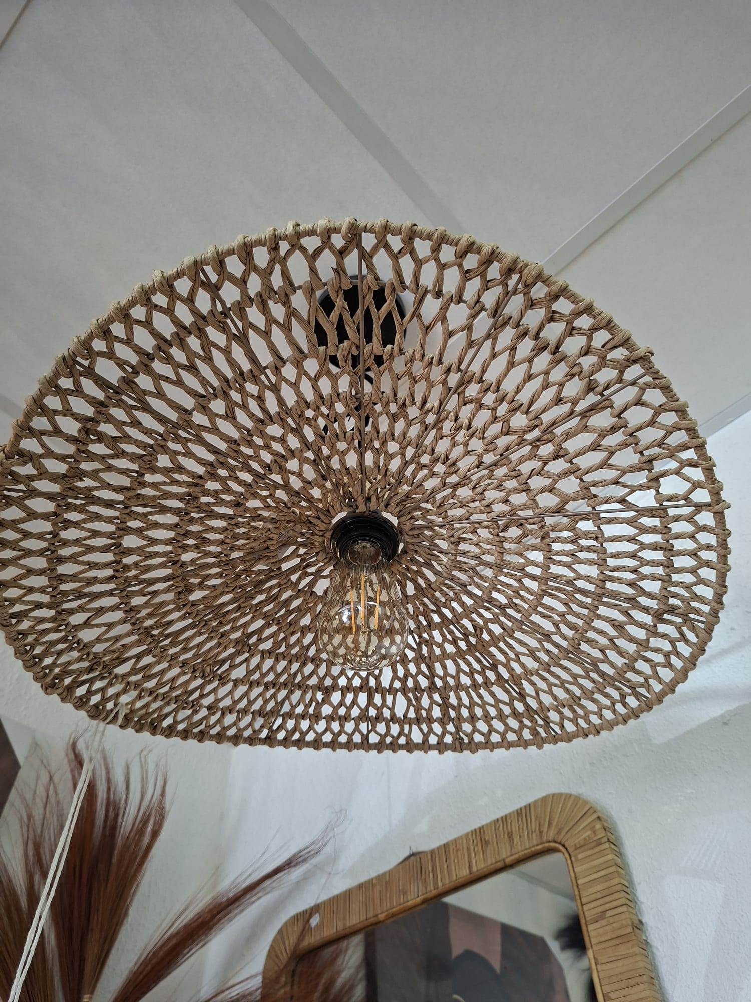 Suspension en fer, corde, papier éléctrifiée