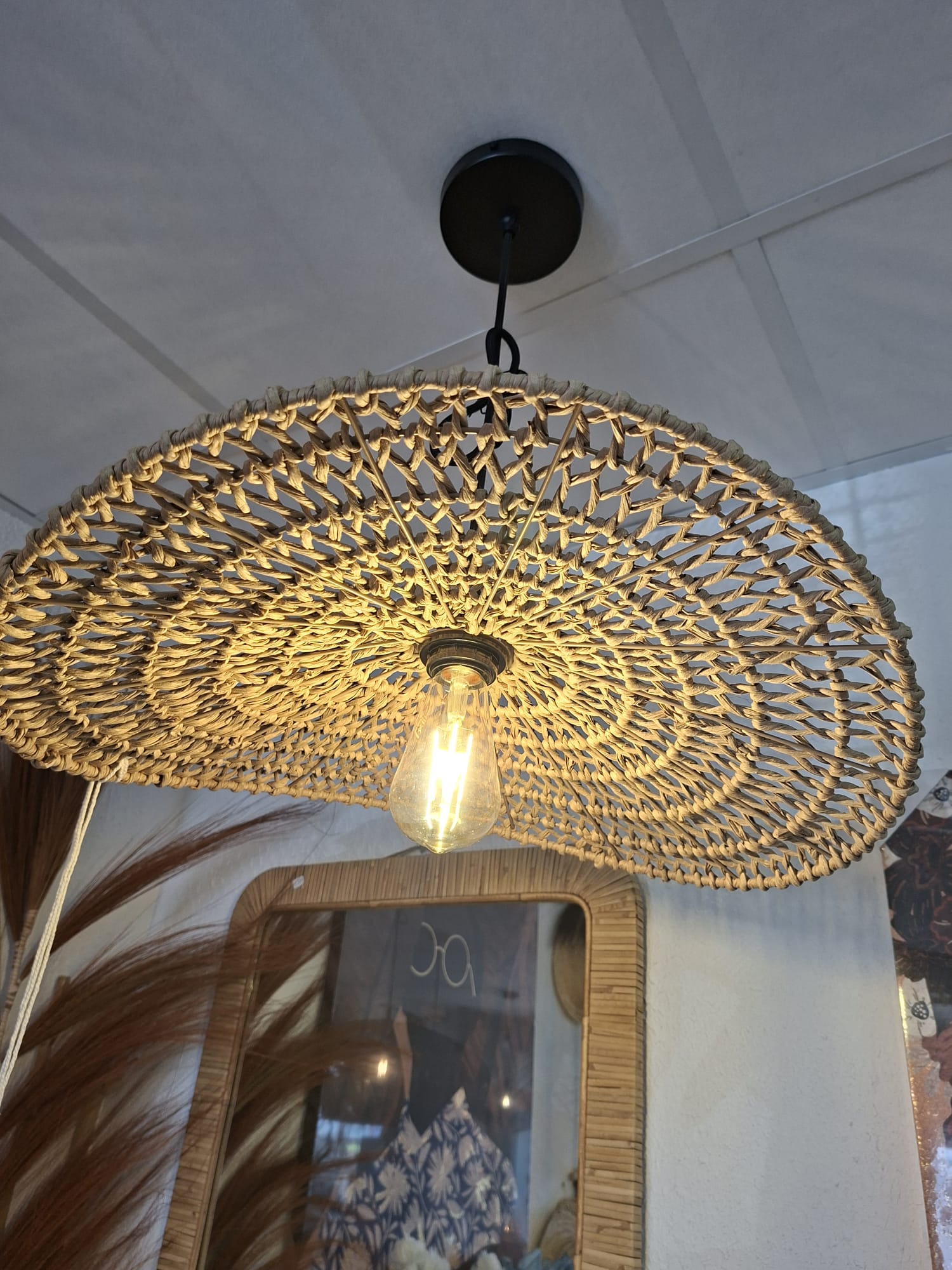 Suspension en fer, corde, papier éléctrifiée