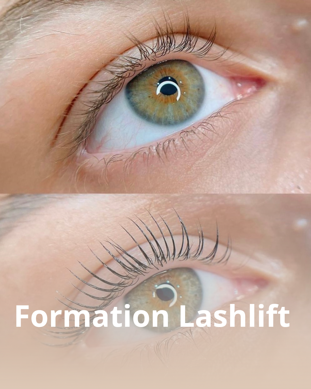 FORMATION LASHLIFT & TEINTURE