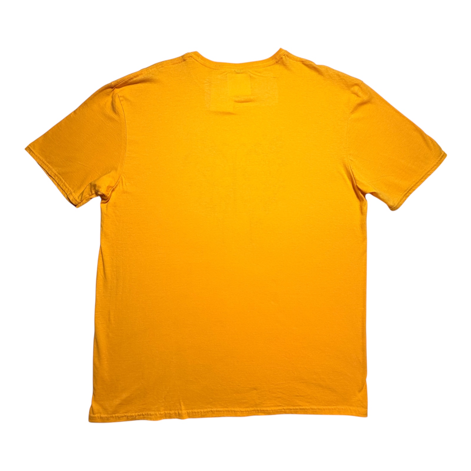 Gold Inspirational Graphic Tee – “Spread Your Wings and Fly” – Unisex XL