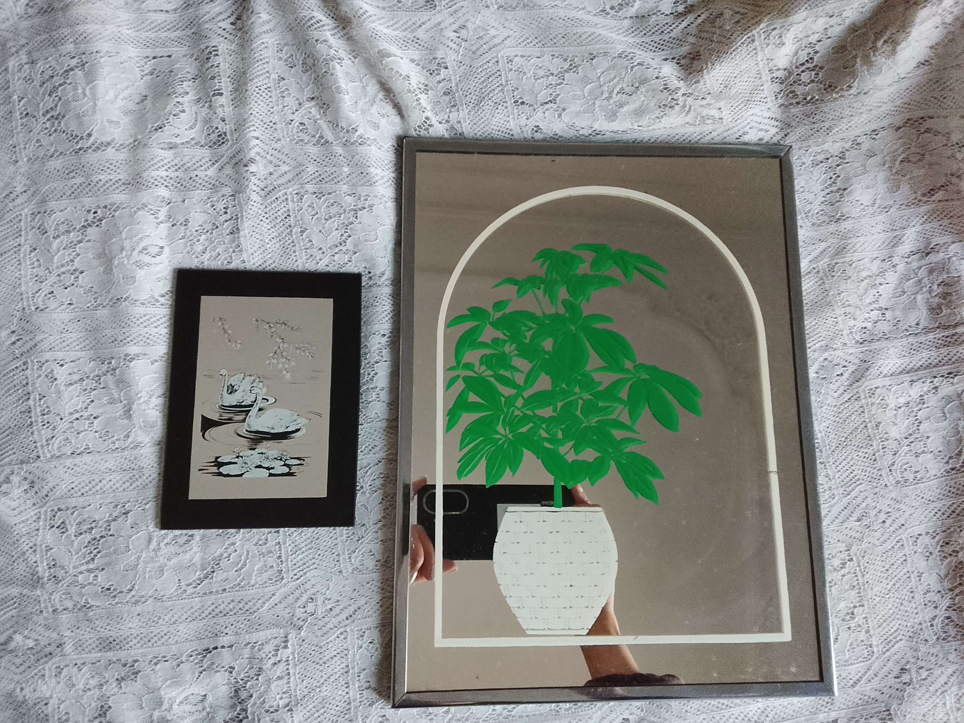 Cuadro de espejo con planta decorativa