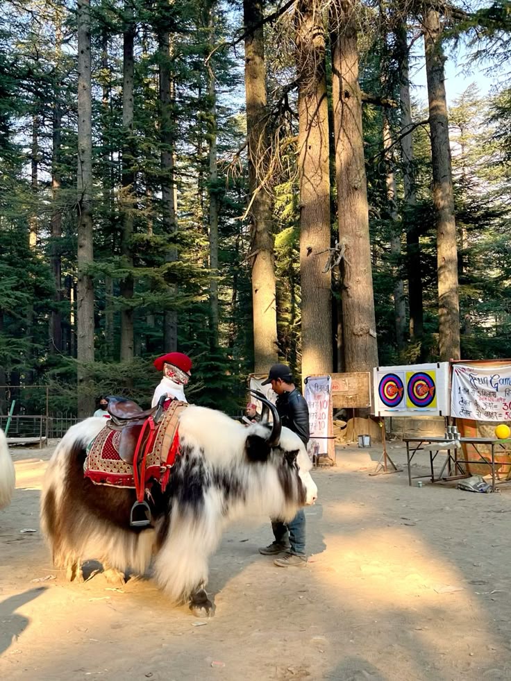 Rudranath Temple  Bike/Car/Bus + Stay +Food +Fuel + Guide