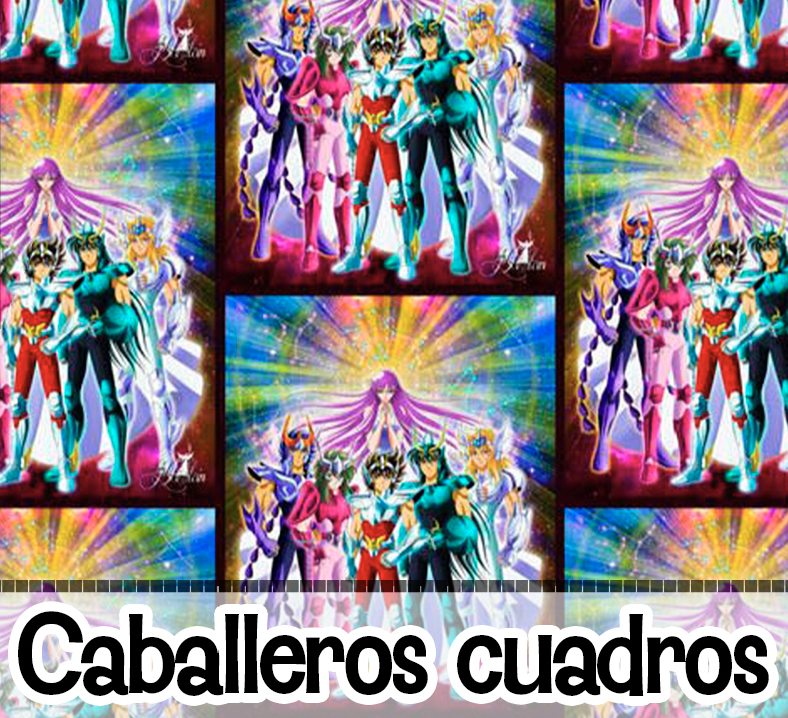 CABALLEROS DEL ZODIACO