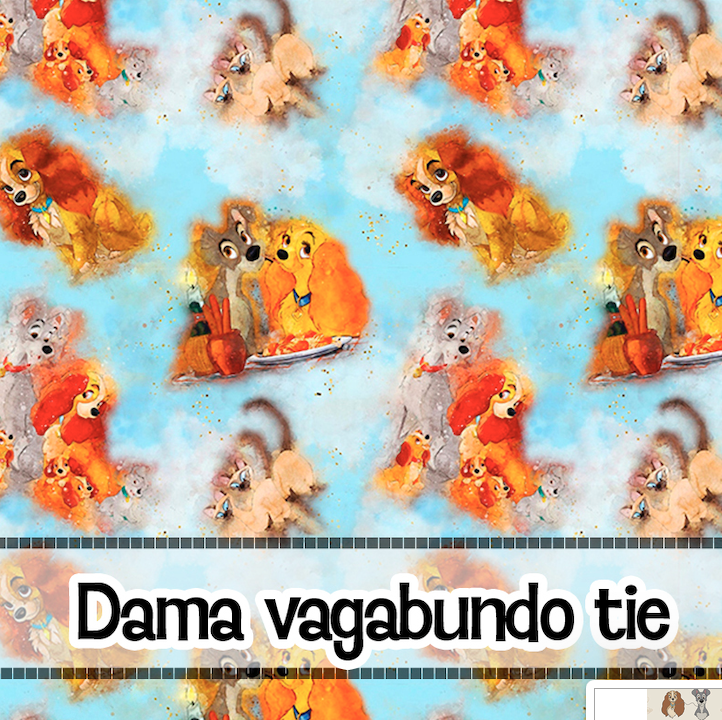 LA DAMA Y EL VAGABUNDO