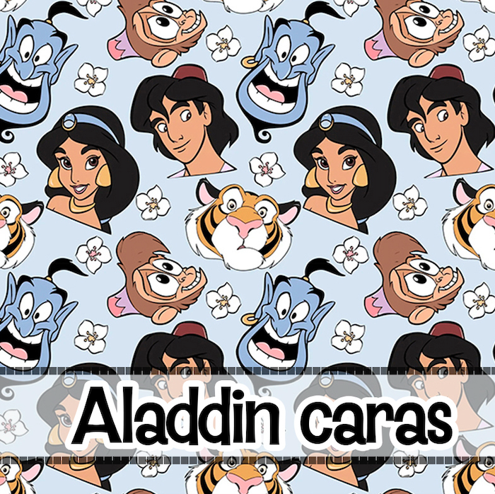 ALADINN 