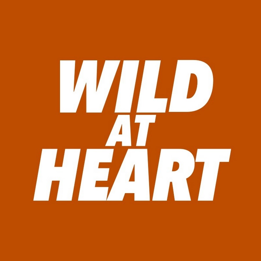 Wild at Heart by John Eldredge
