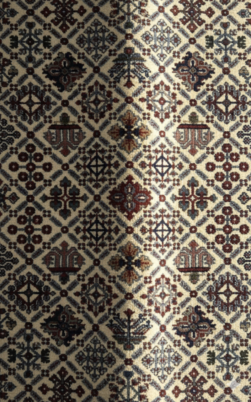 Tappeto Bijar – 167 × 253 cm