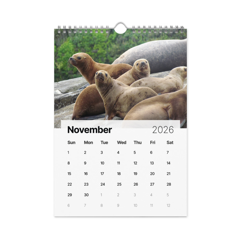 Calendario Chile 2026 - Edición Sur Austral