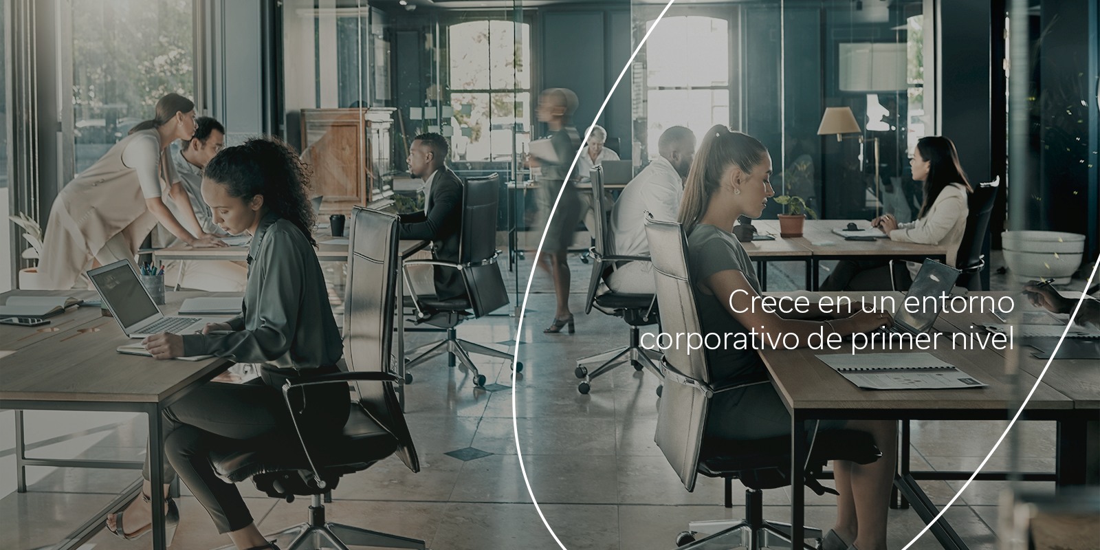 OVVA Oficina Corporativa desde $152,681 USD*