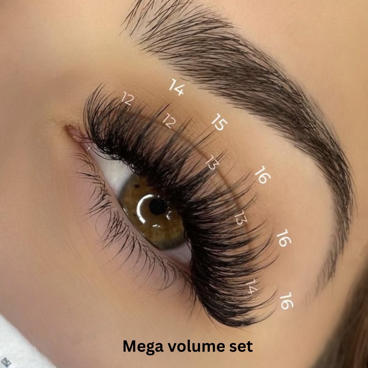 Mega “It girl” Lash Set