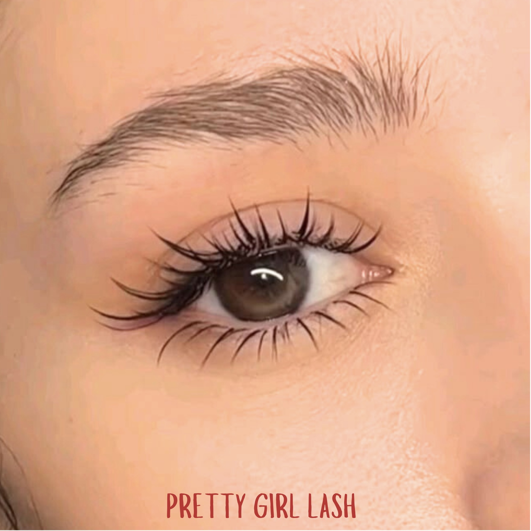 Anime The Pretty Girl Set