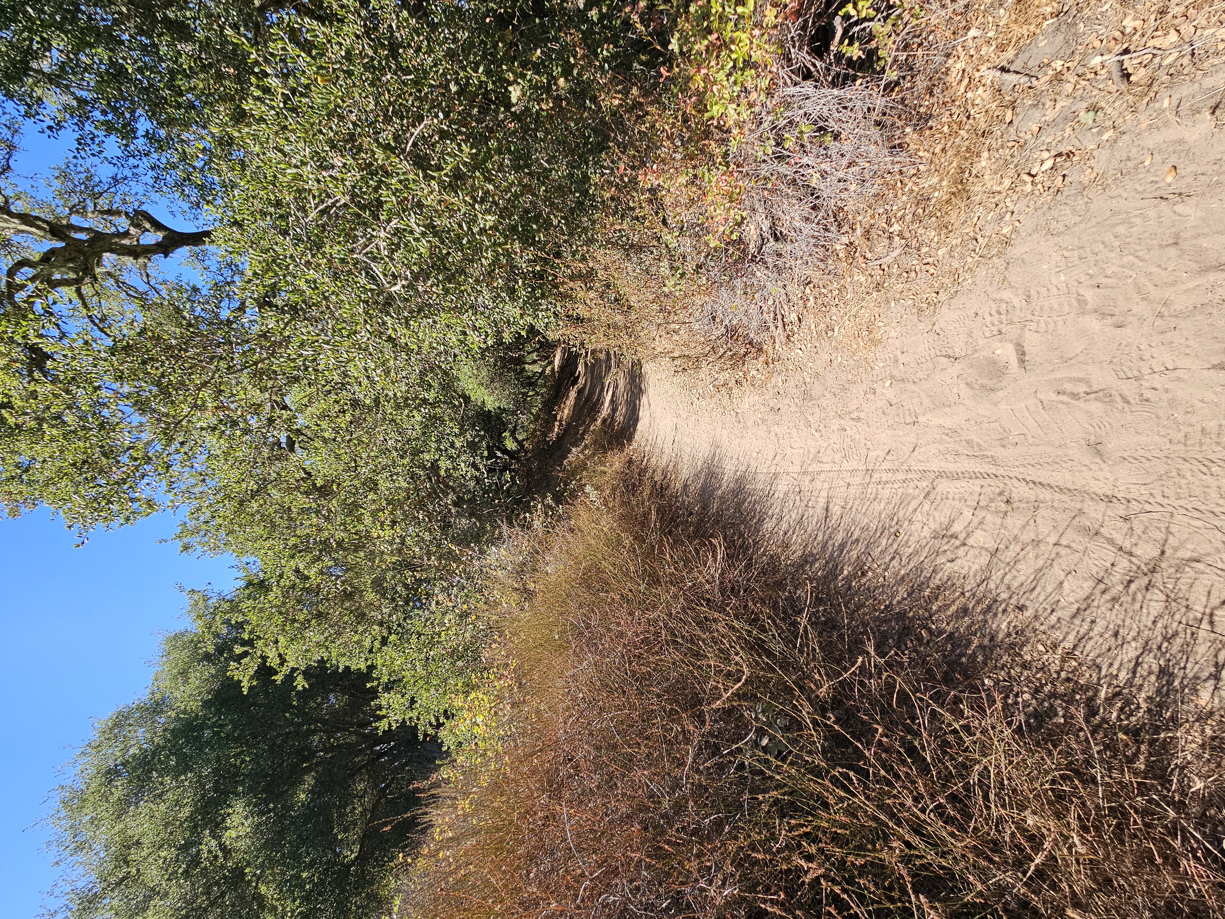 Book Your Hike & Bunch Session