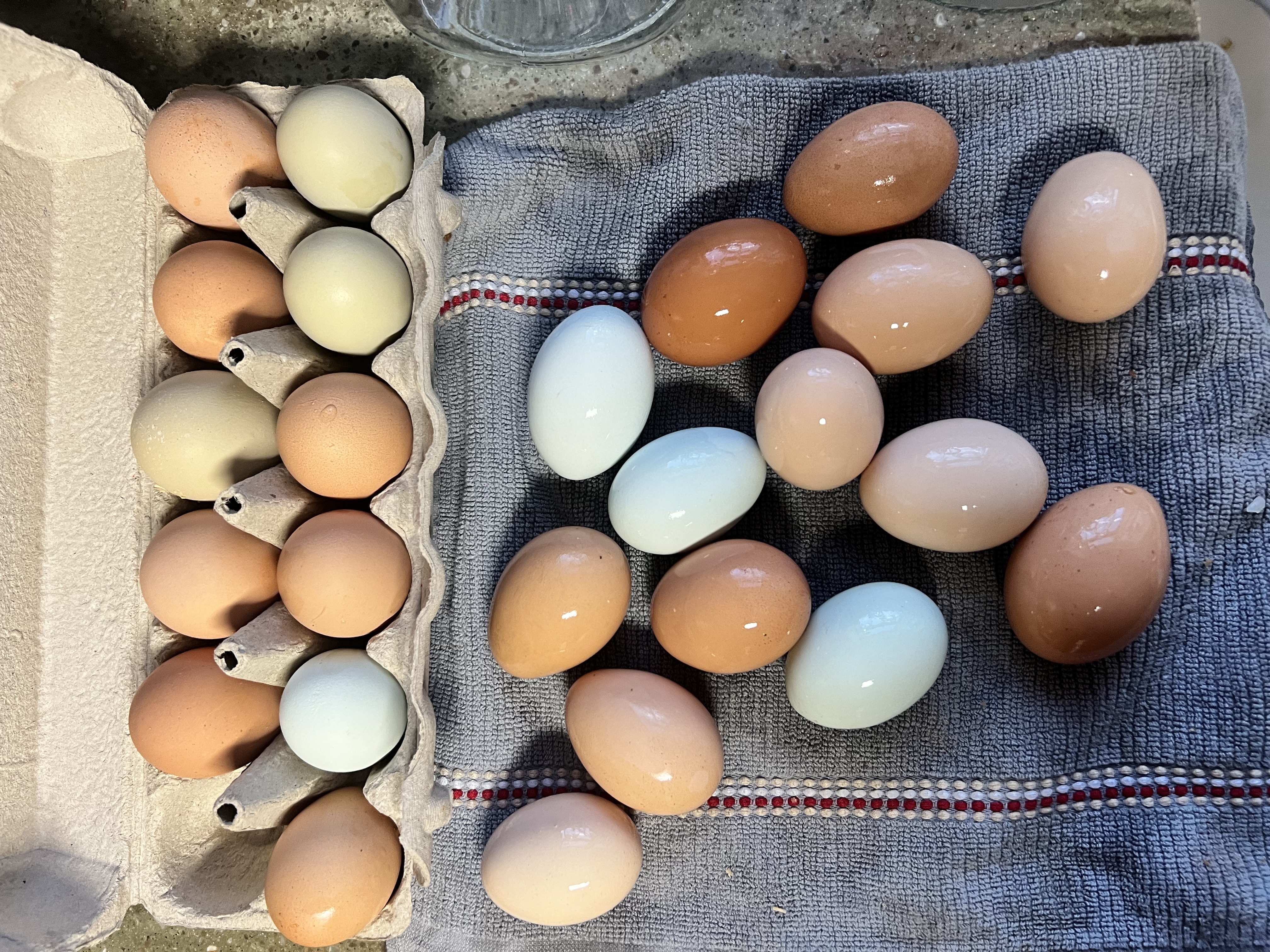 Farm Fresh Eggs