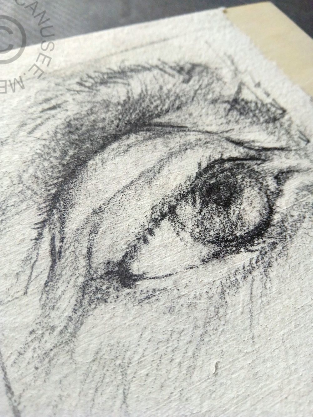 and nothing else matters