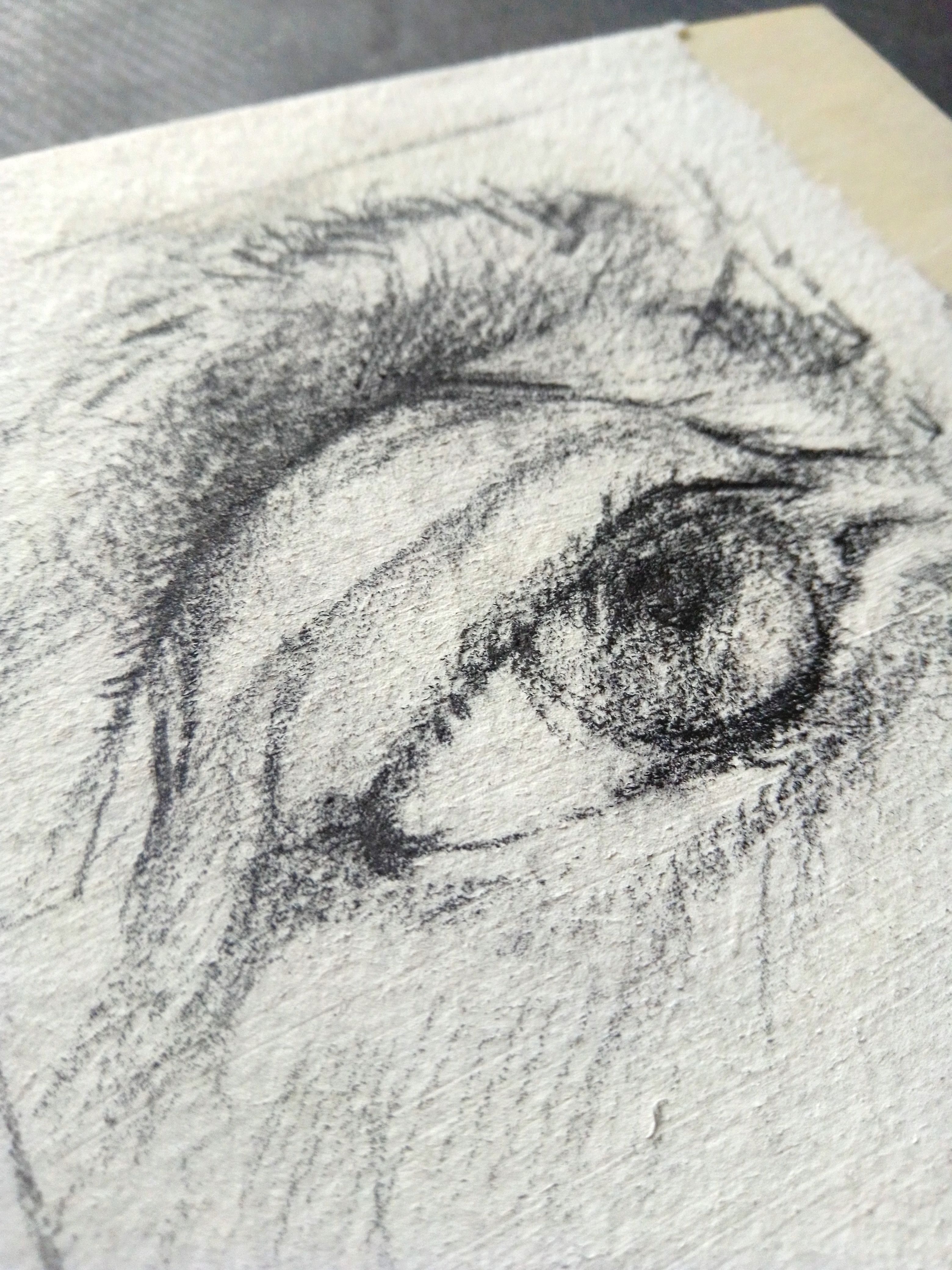 and nothing else matters