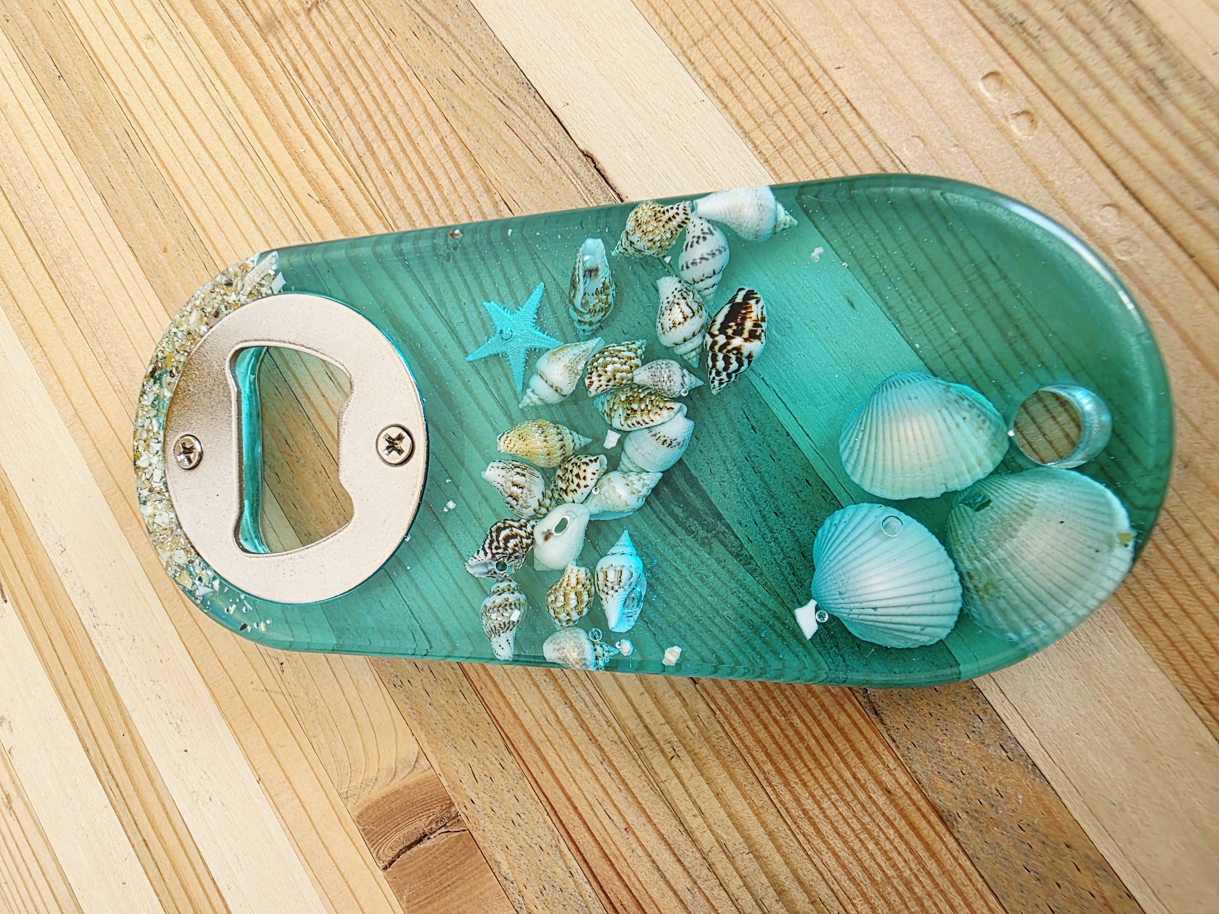 Décapsuleur - Coquillages