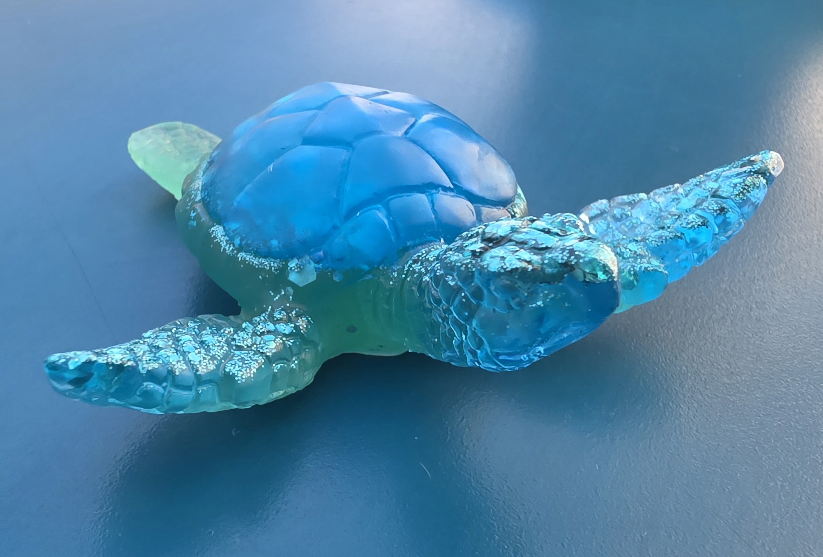 Tortue