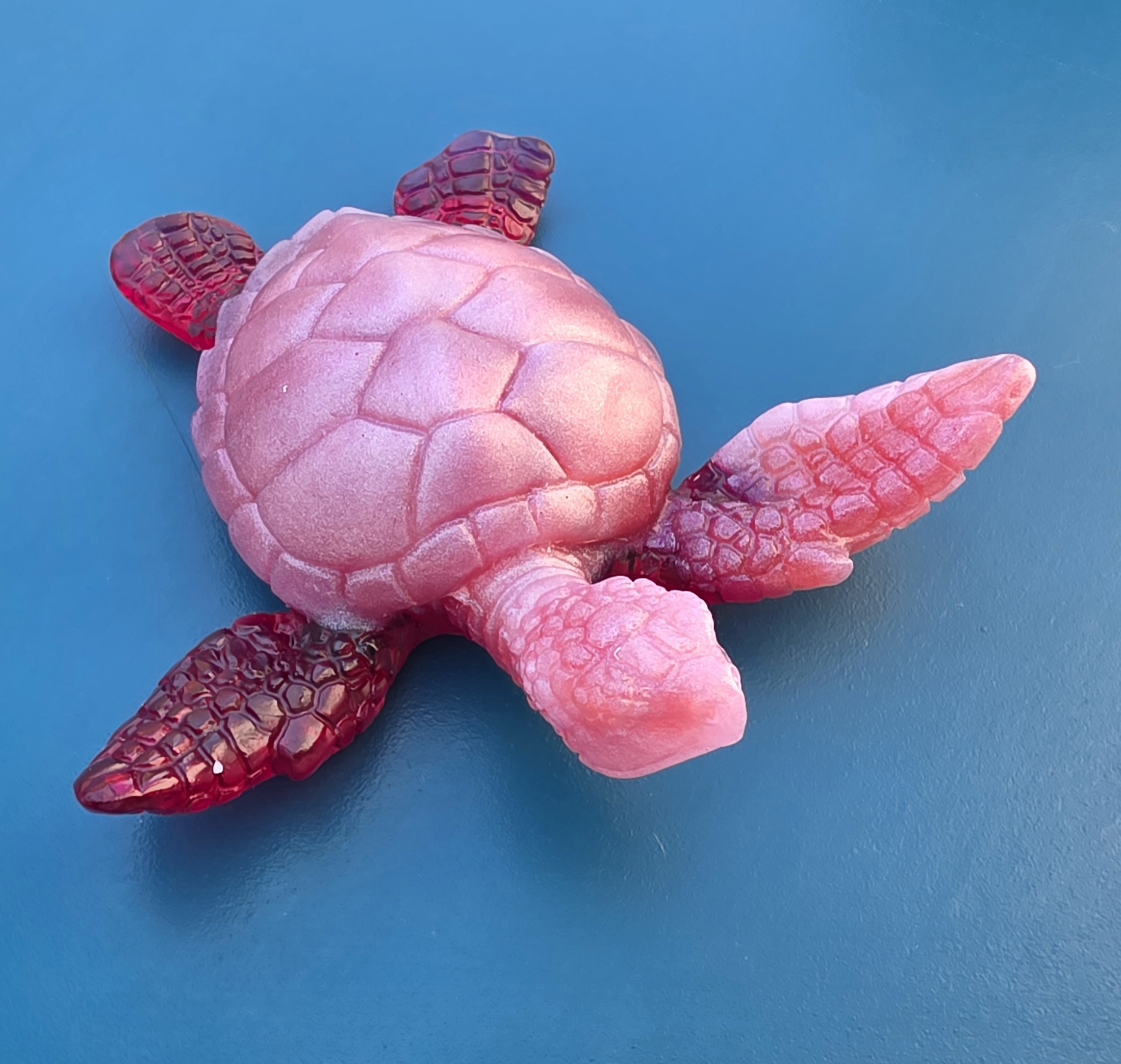 Tortue