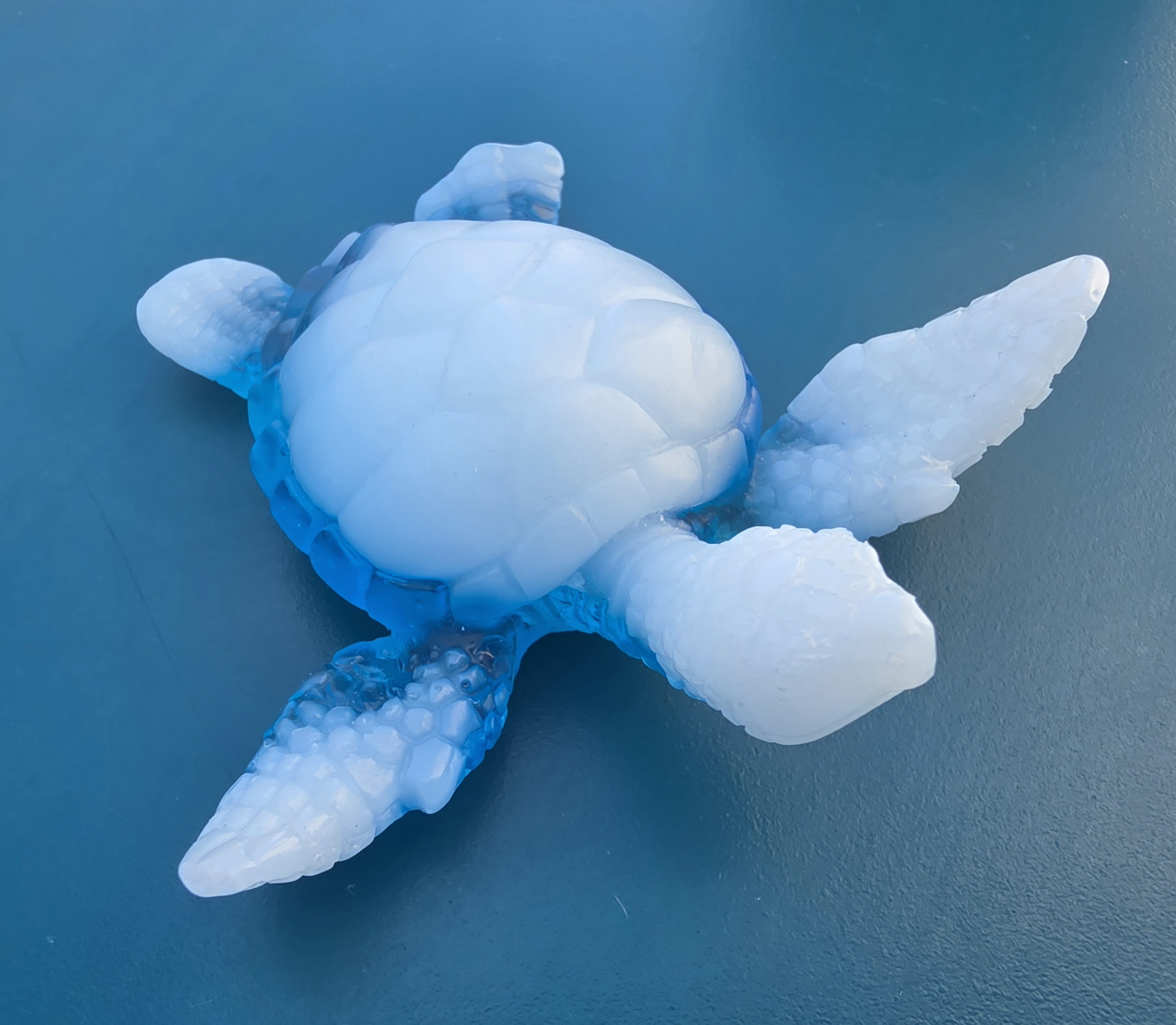 Tortue
