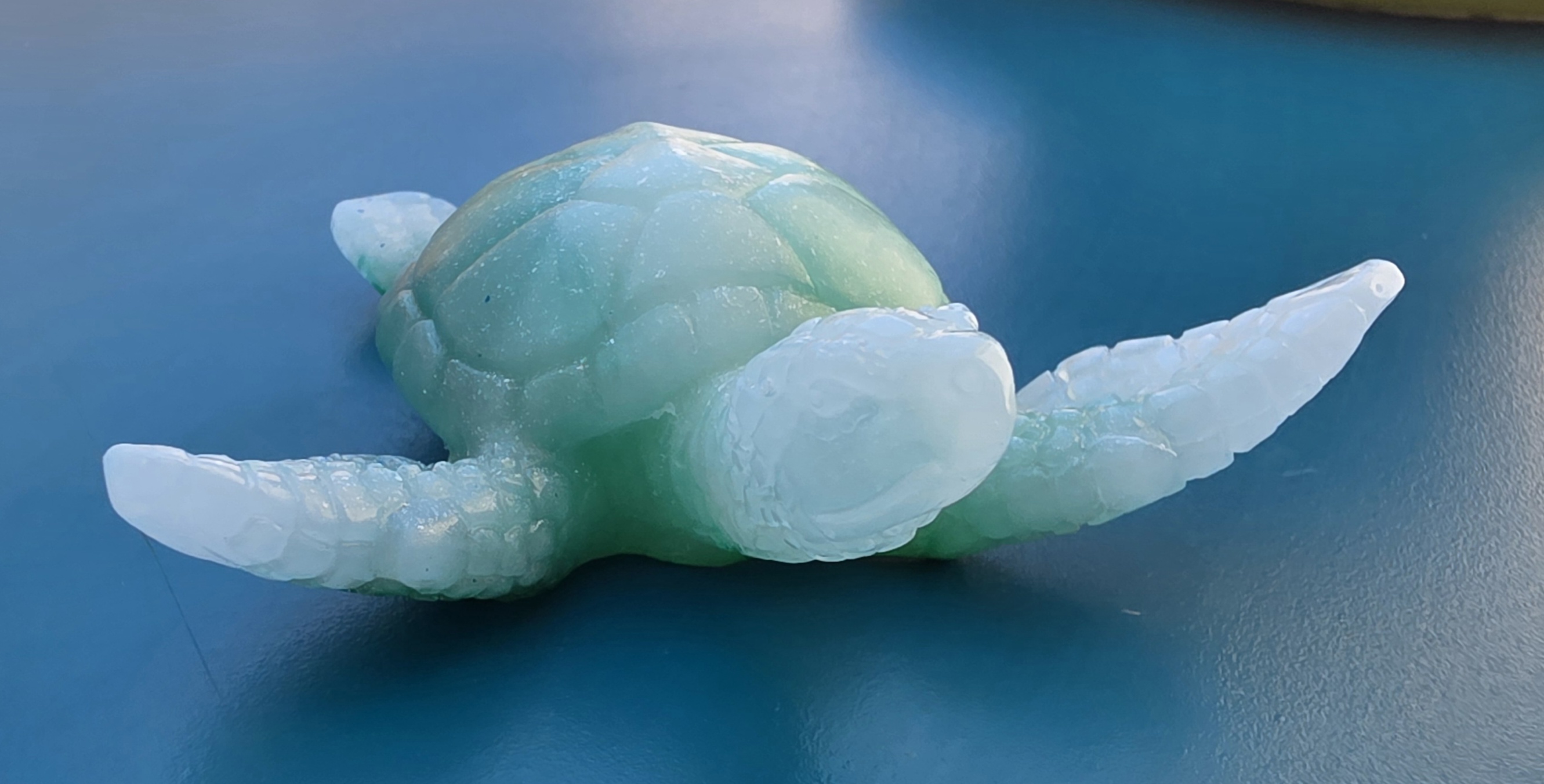 Tortue