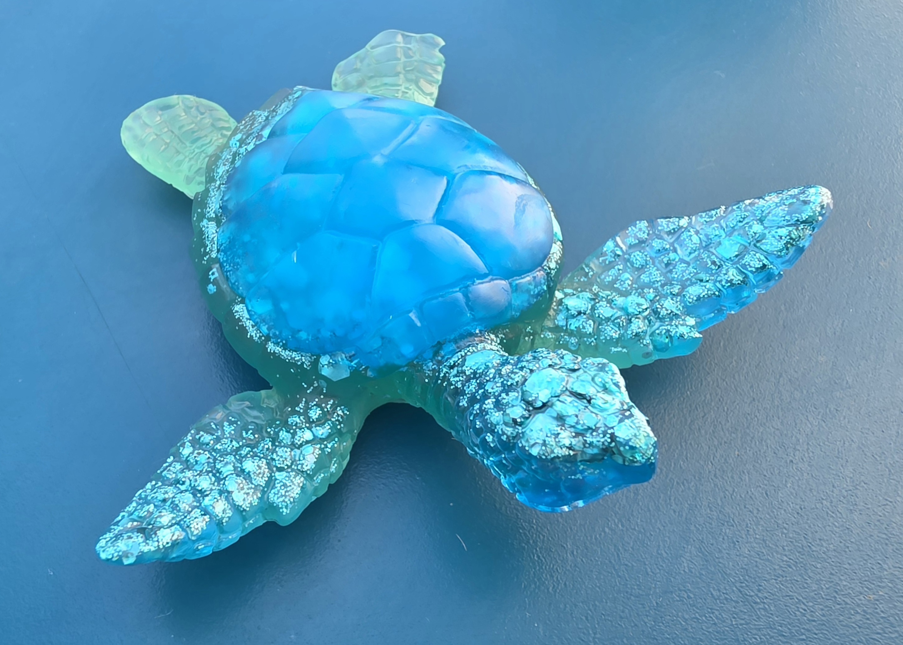 Tortue