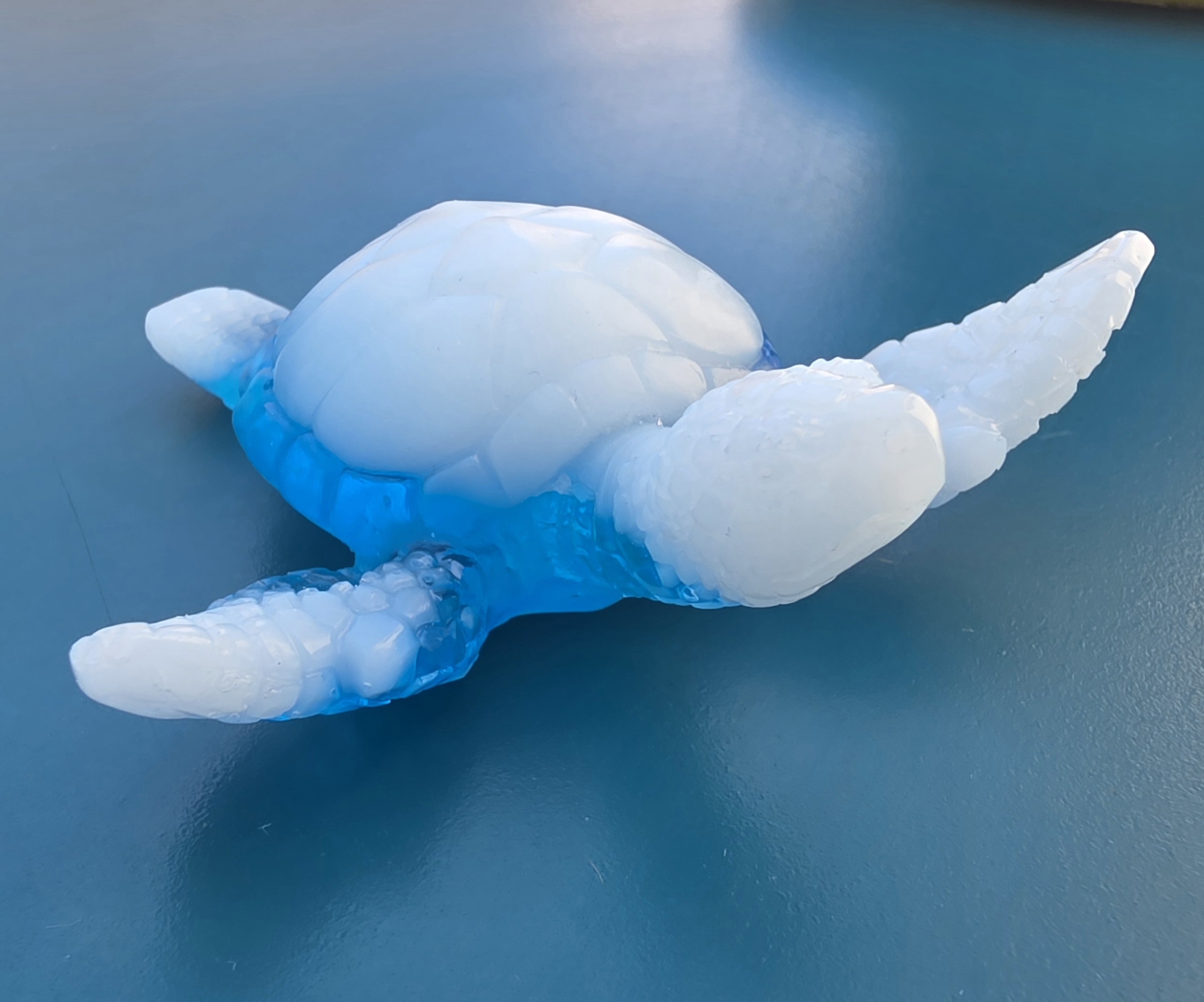 Tortue
