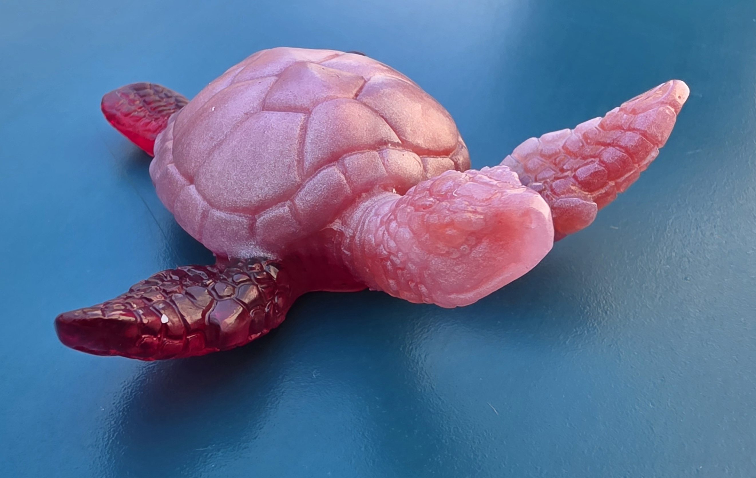 Tortue