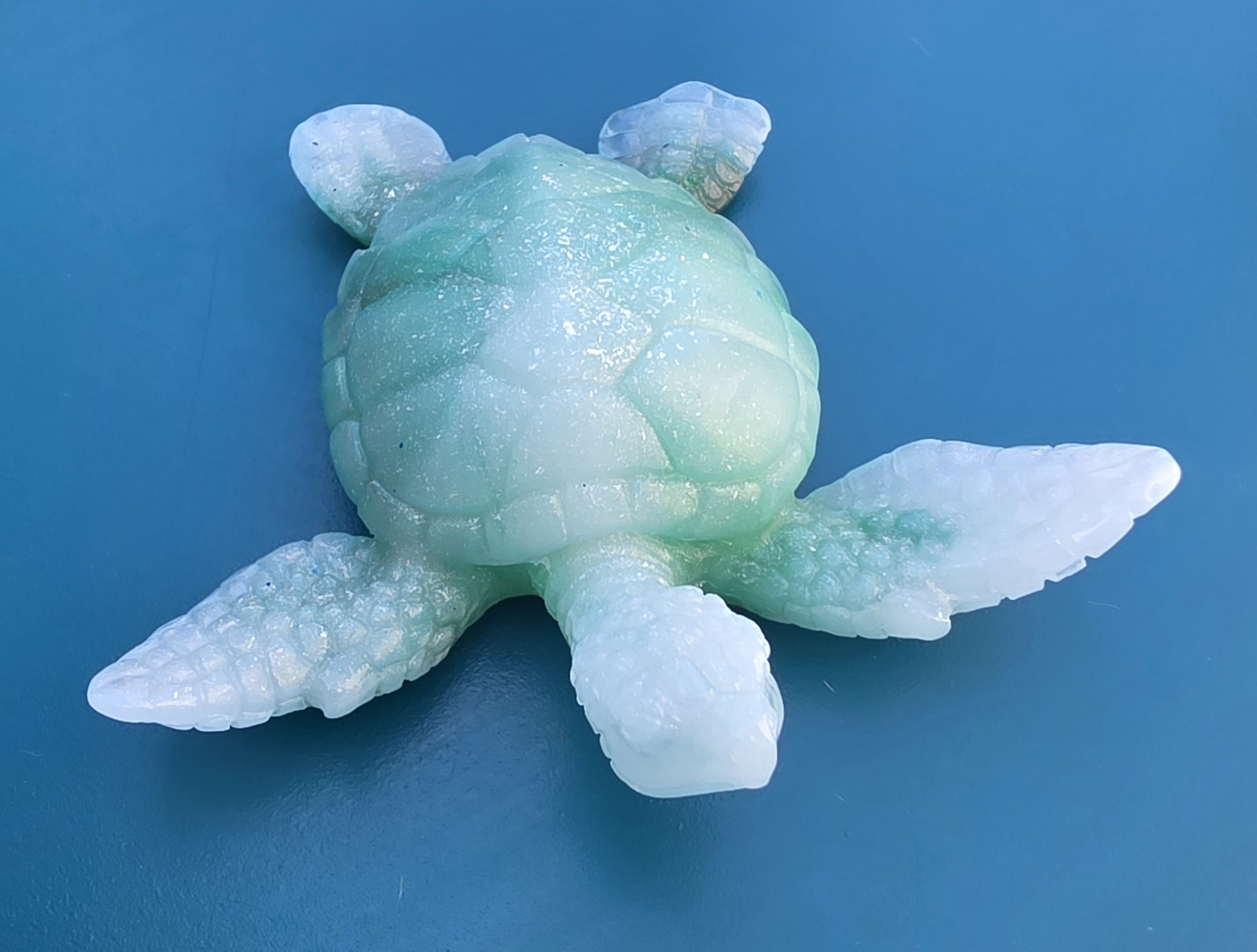 Tortue
