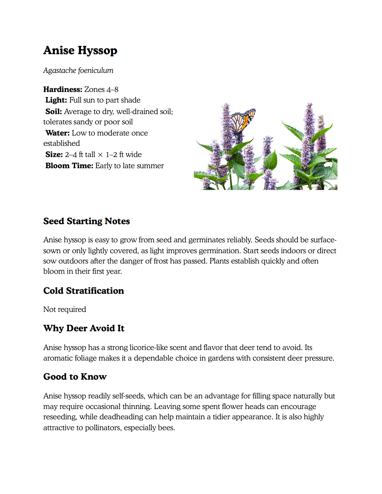 Deer-Resistant Perennials You Can Grow from Seed