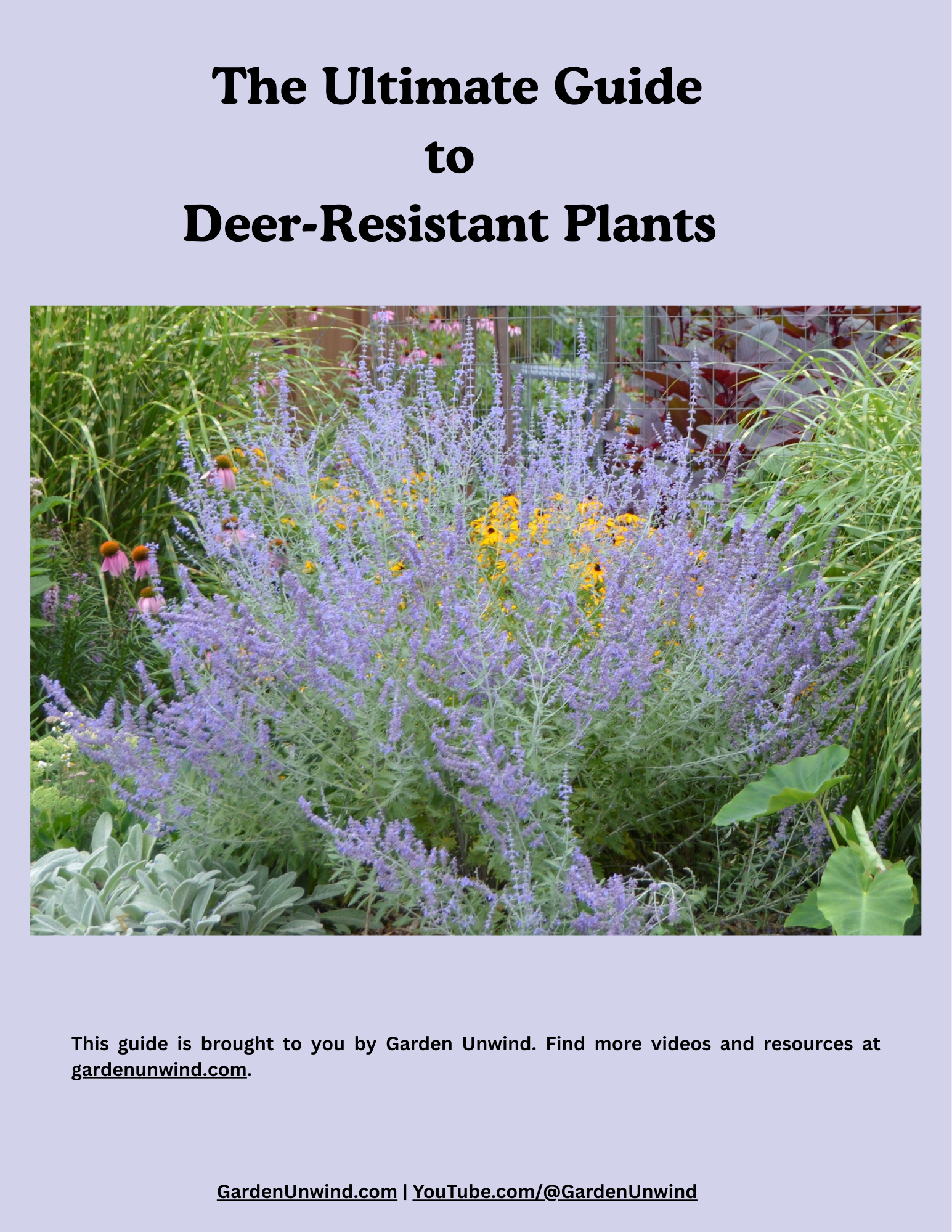 The Ultimate Guide to Deer-Resistant Plants