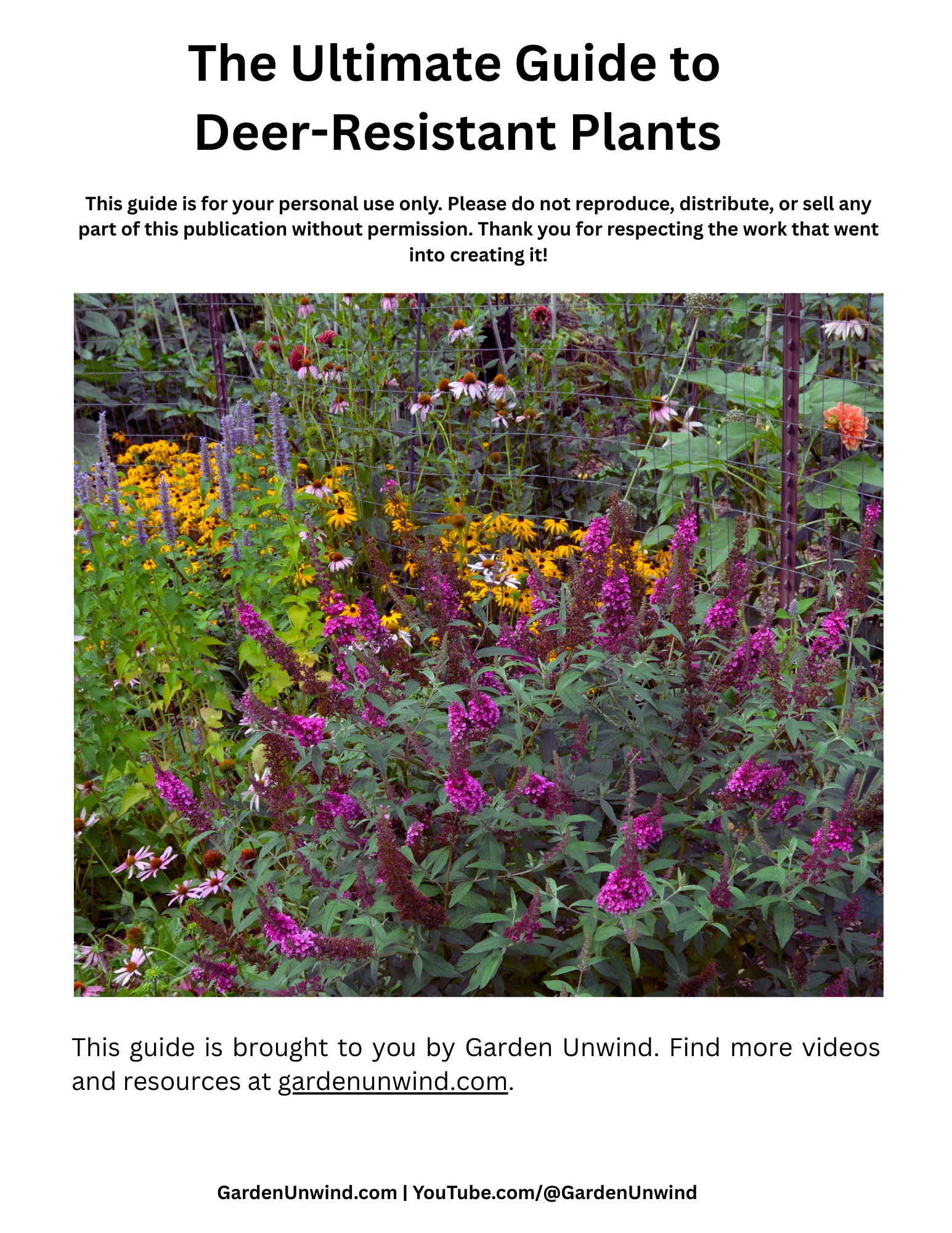 The Ultimate Guide to Deer-Resistant Plants