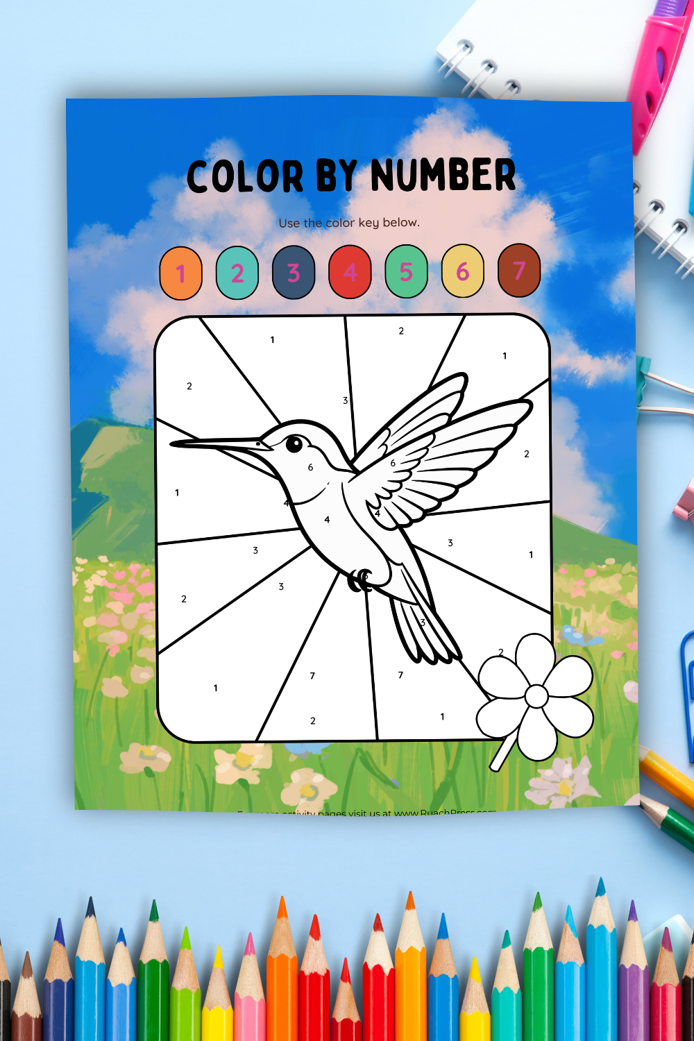 FREE Color By Number Hummingbird Sheet