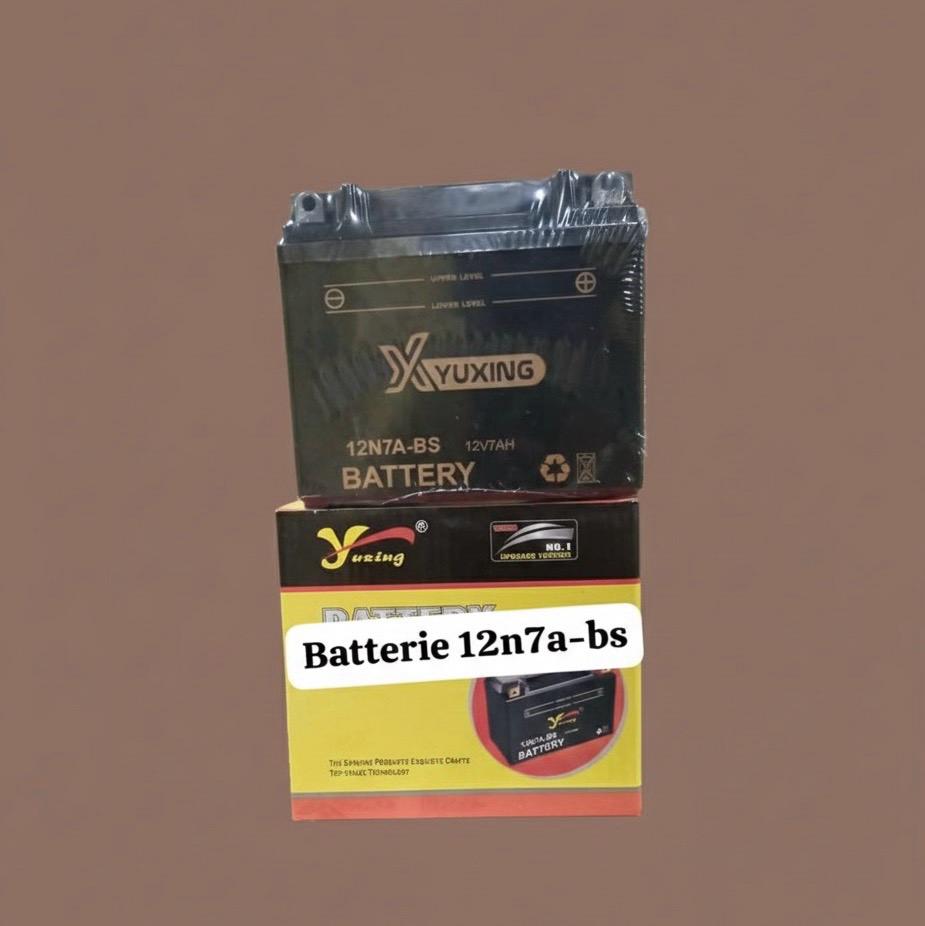 Batterie 12n7a-bs