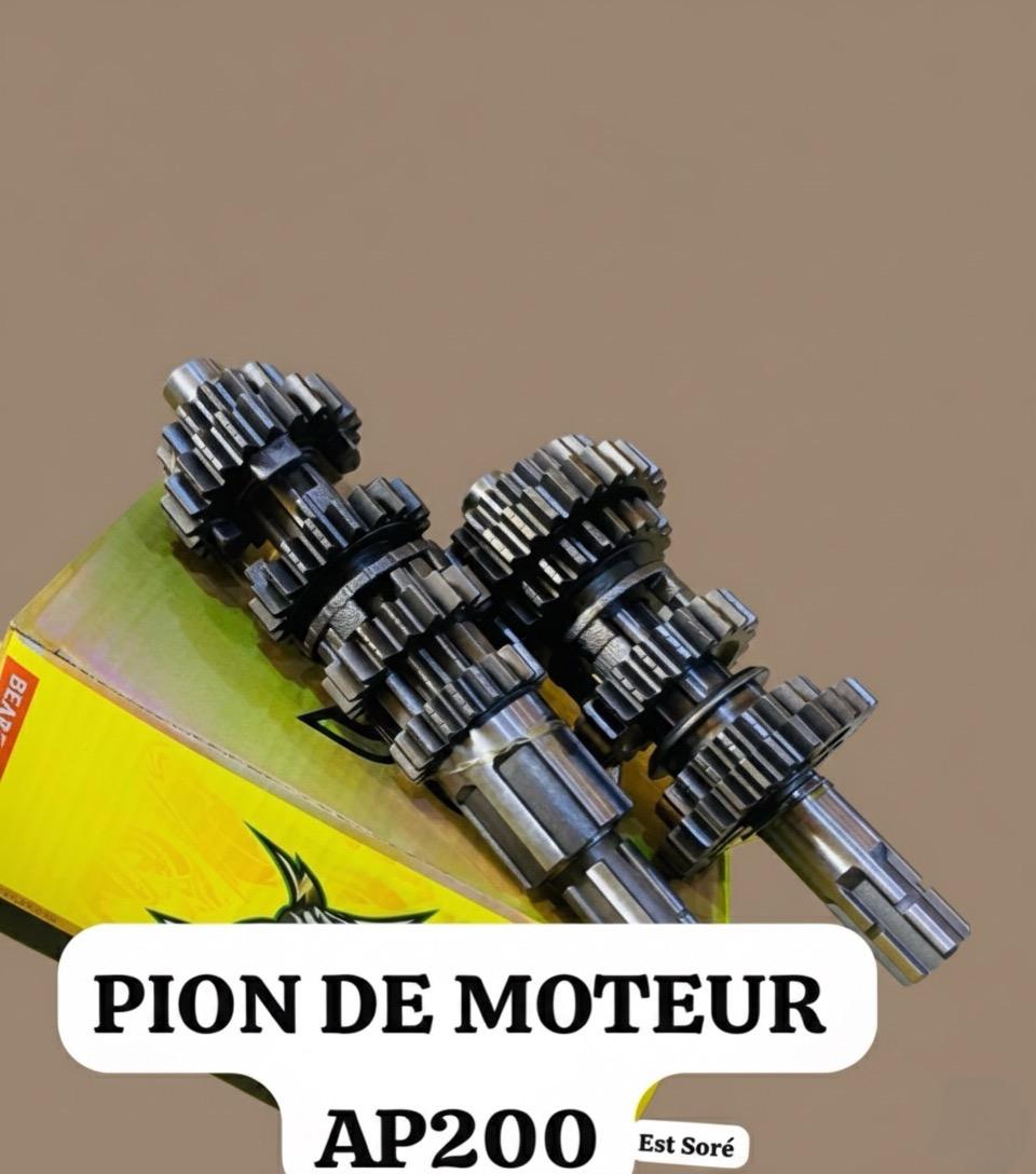 Pion de moteur AP200