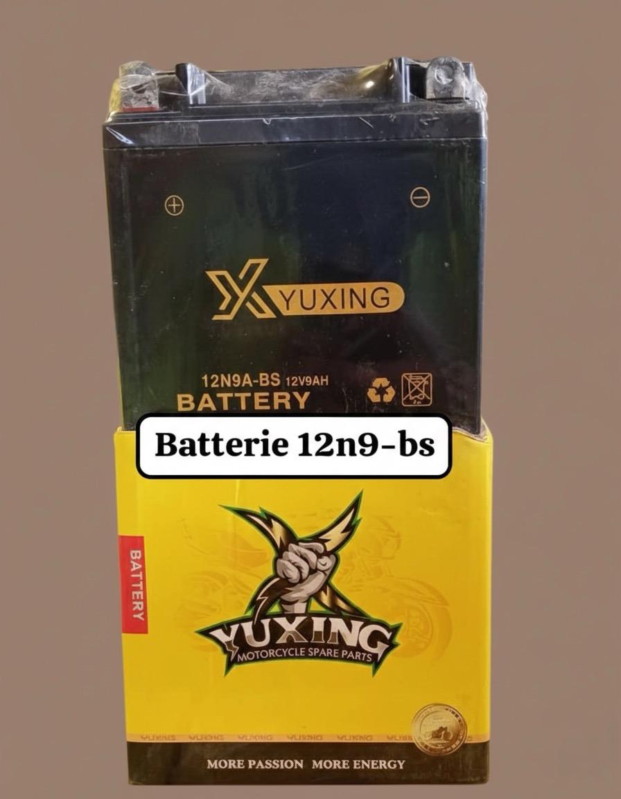 Batterie Yuxing 12N9-BS
