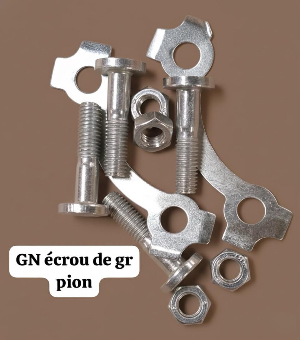 Écrou de groupe GN