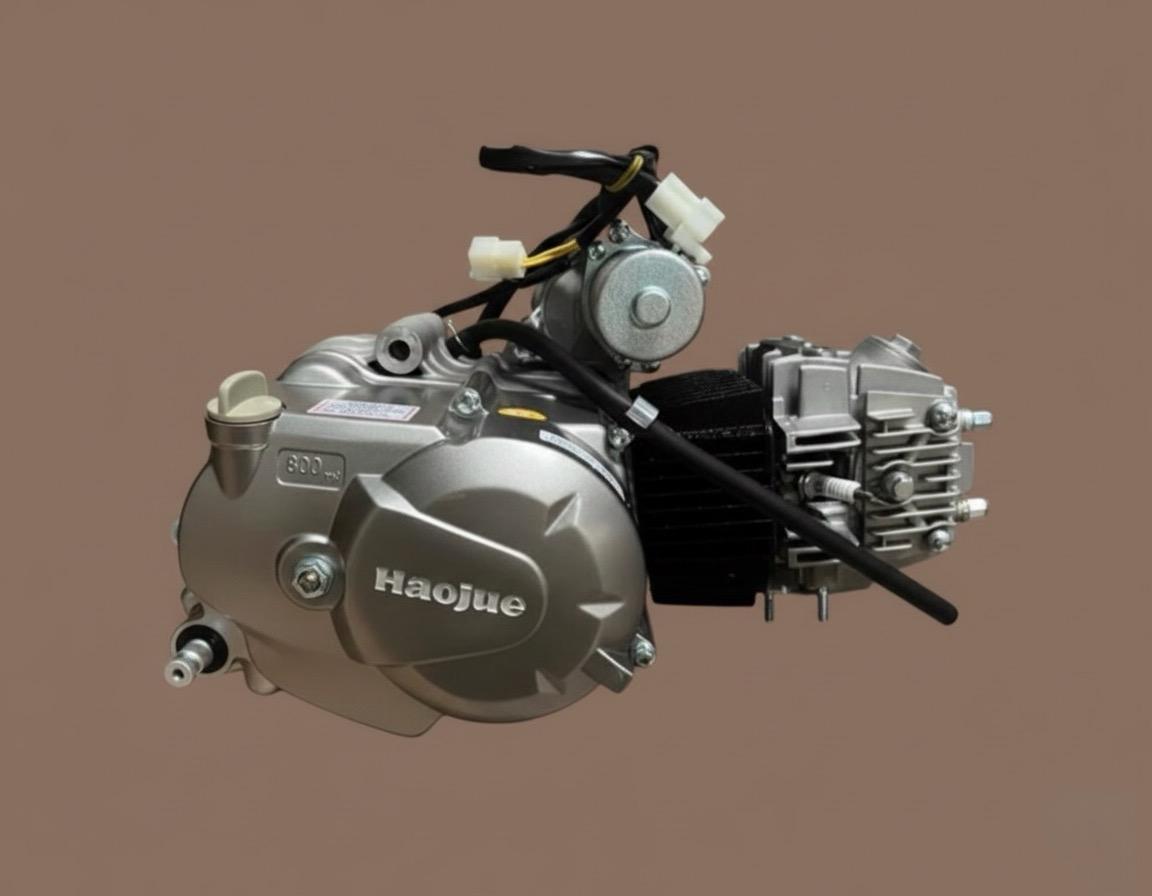 Moteur Haojue