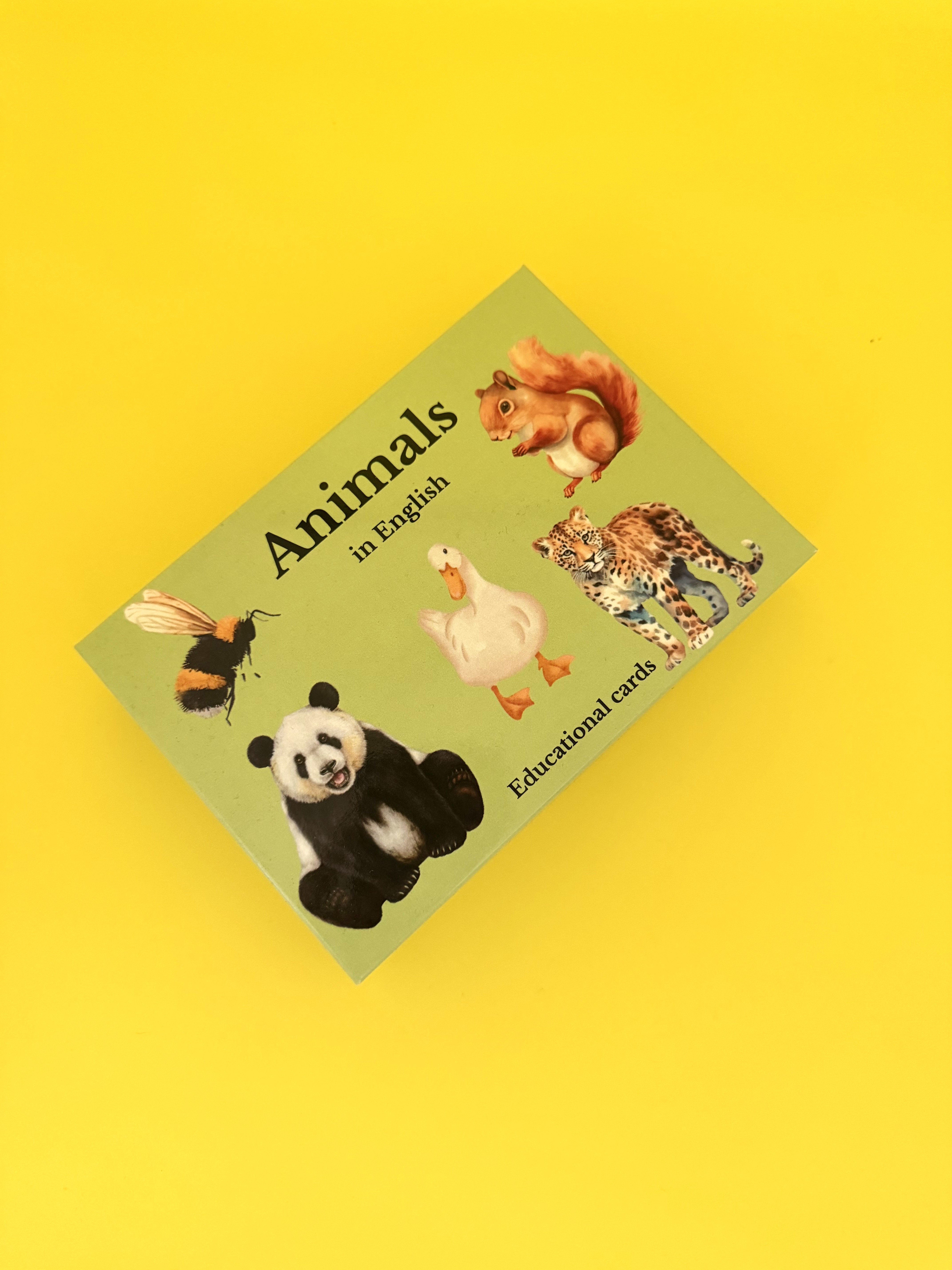 Gyvūnai anglų kalba